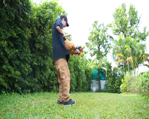 幼儿园上课行为习惯照片