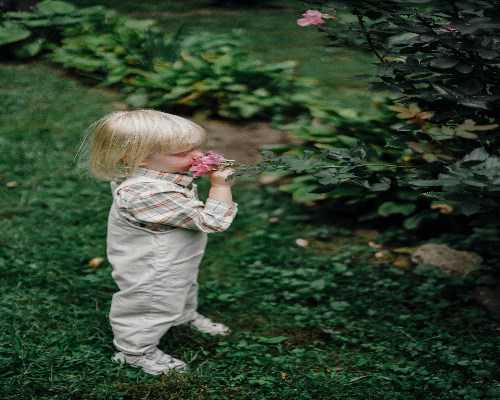 单身生育：没有结婚证可以做试管吗