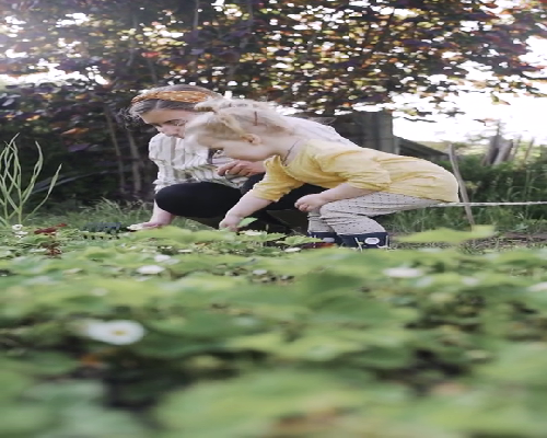 北京私立借卵价格,北京供卵代孕包成功是包出生吗