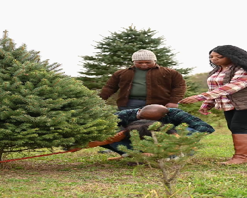 在北京做试管一次多少钱？价格明细参考！