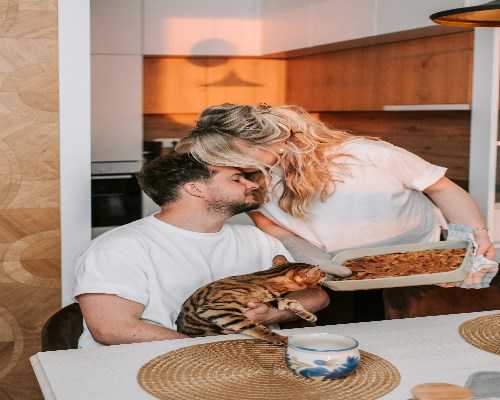 试管妊娠期防畸注意事项