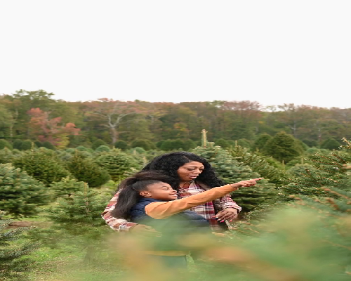 你所不知道的试管婴儿：技术背后的科学原理