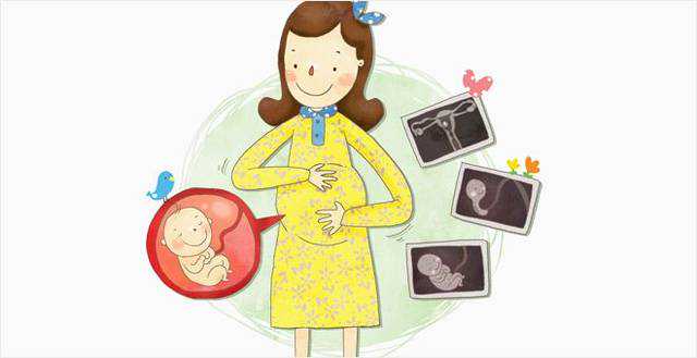 2026北京试管不需要结婚证的医院最新排名汇总(北京做试管需要什么证件)