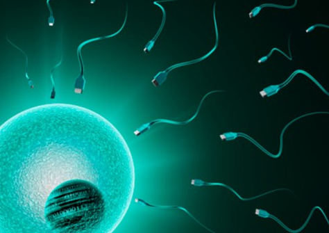 北京找助孕女的工作 、北京大学第三医院 ‘看彩超怎么测男女’