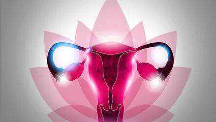 北京正规供卵网点,北京3代供卵代孕医院火热开业！