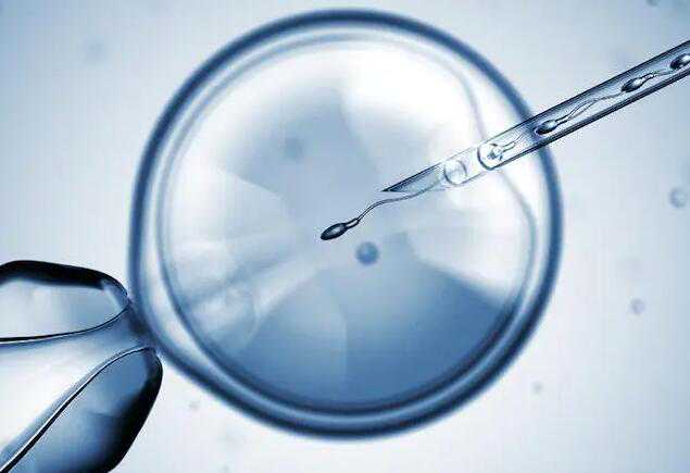 北京代孕公司哪家比较靠谱 北京协和生殖中心试管费用 ‘双胎b超怎样看男女’